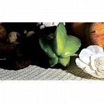 Фартук МДФ SP 013