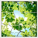 Защитное стекло Листья каштана (Окно) для кухни