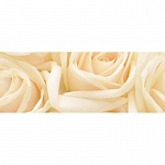 Фартук из МДФ Элит Чайная роза