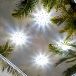 Панели ПВХ с рисунком для потолка