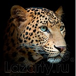 Защитное стекло Леопард для кухни