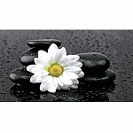 Фартук МДФ SP 185