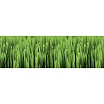 Фартук МДФ Луг