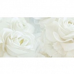 Фартук МДФ Ливадия