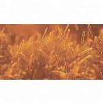 Фартук МДФ SP 170