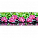 Фартук для кухни Орхидея серия Эпифиты