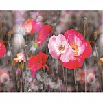 Фартук для кухни Маковое поле 480