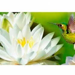 Фартуки МДФ с эффектом мерцания