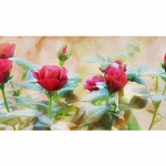 Фартук МДФ Алые розы с тиснением под дерево