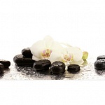 Фартук МДФ Амабилис