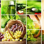 Фартук для кухни Виноград /Массандра 390