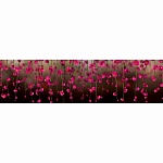 Фартук для кухни Висячие сады