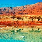 Защитное стекло Красная гора для кухни