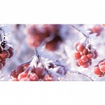 Фартук МДФ SP 169