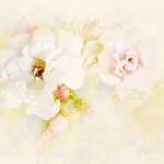 Потолочная панель ПВХ Novita Акварель роза