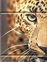 Панель ПВХ Unique Леопард (фон)