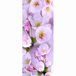 Панель ПВХ Яблоня