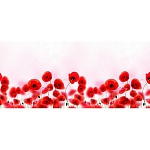 Фартук для кухни Маки