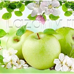 Защитное стекло Зеленые яблоки для кухни