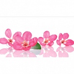 Фартук МДФ Розовоцвет