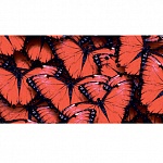 Фартук МДФ Баттерфляй