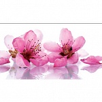 Фартук МДФ Нежность