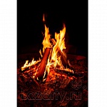 Защитное стекло Пылающий костер для кухни