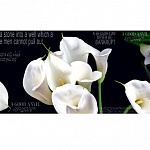 Фартук МДФ Каллы