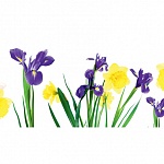 Фартук МДФ Весенний букет