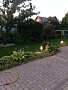 Шпалера садовая