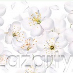 Фартук для кухни Цветы яблони (термопечать)